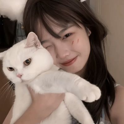果盘龙皇传说手游下载
