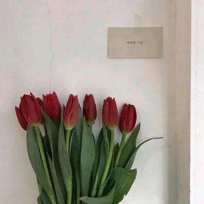 手游大剑仙无限钻石版下载